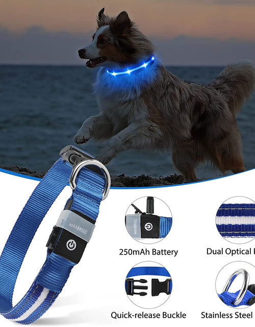 Load image into Gallery viewer, Led Dog Collar,Rechargeable Light up Dog Collars Water-Resistant Lighted Dog Collar Flashing Glowing Dog Collar Night Waking Collar for Dogs
